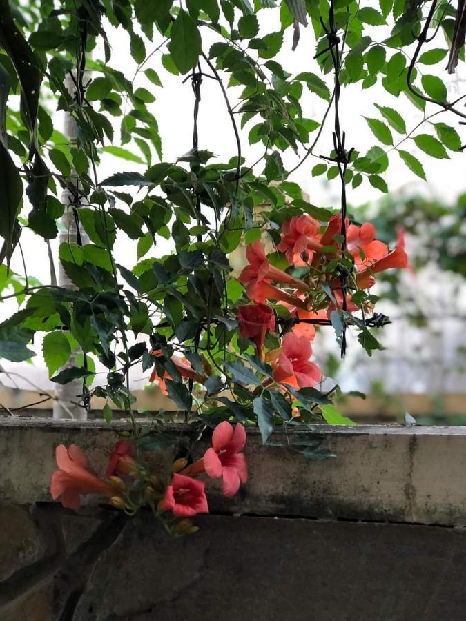 Hidden Hue Homestay Екстериор снимка